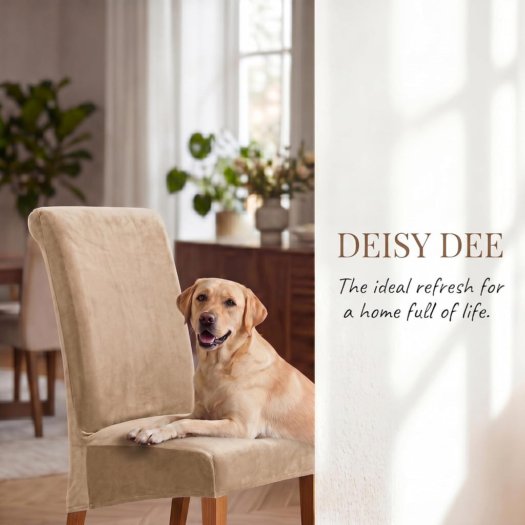 Velvet Dining Chair Covers Set of 2, Extra Large XL Oversized Stretch Parsons Chair Slipcovers for High Back Dining Room Kitchen, Non-Slip Removable Washable Chair Protectors,Khaki