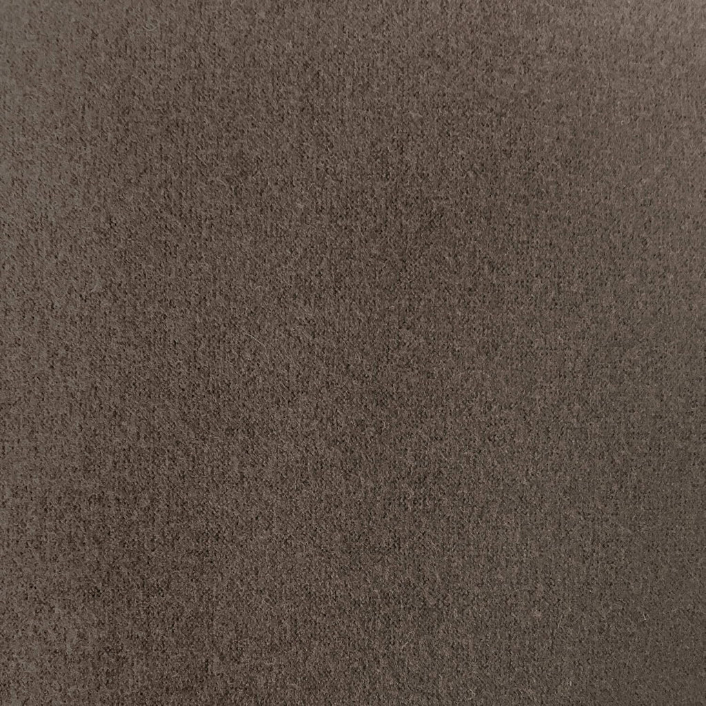 Zenna Home, Chocolate/Brown Furniture Cover: Stretch Plush 1-Piece Loveseat Slipcover (EFCLSTCH)