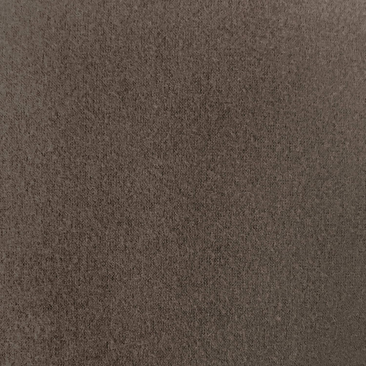 Zenna Home, Chocolate/Brown Furniture Cover: Stretch Plush 1-Piece Loveseat Slipcover (EFCLSTCH)